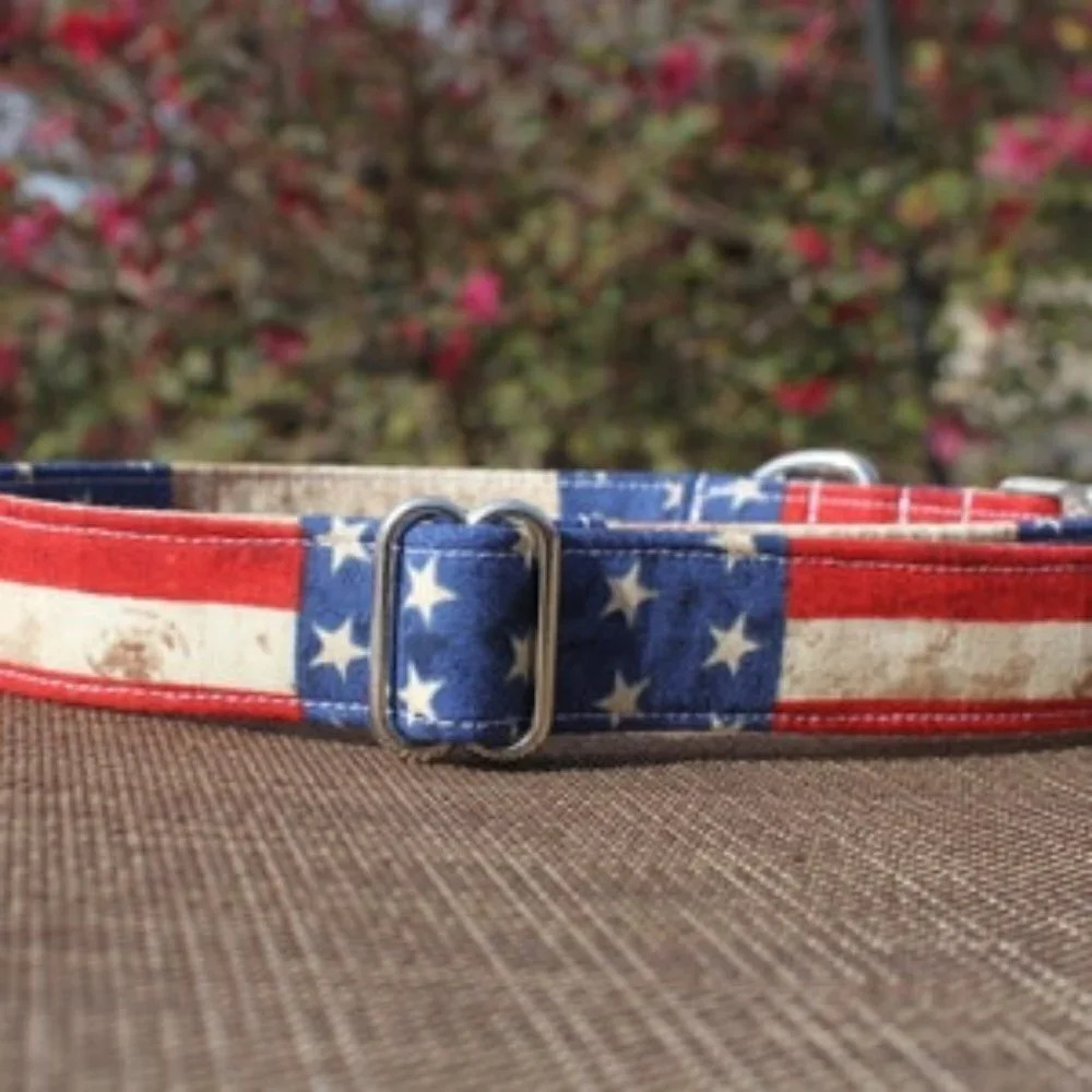 USA | American Flag | Dog Collar | Medium